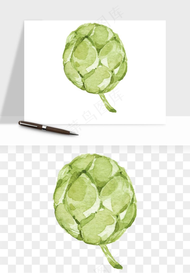 清新手绘植物png免抠