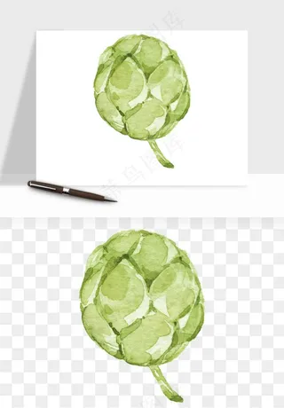 清新手绘植物png免抠