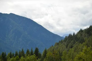 静谧山林绿意浓