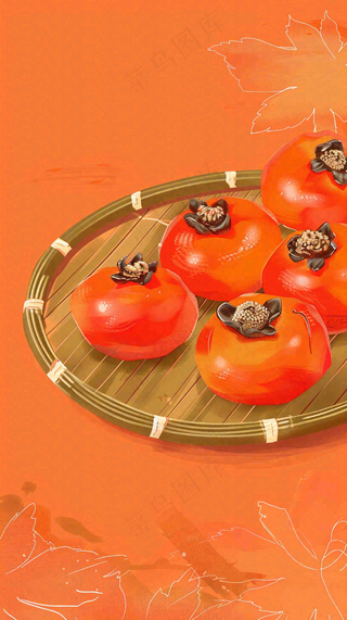 成熟的柿子水果红色背景插画霜降背景