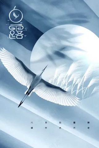 白露节气传统活动海报