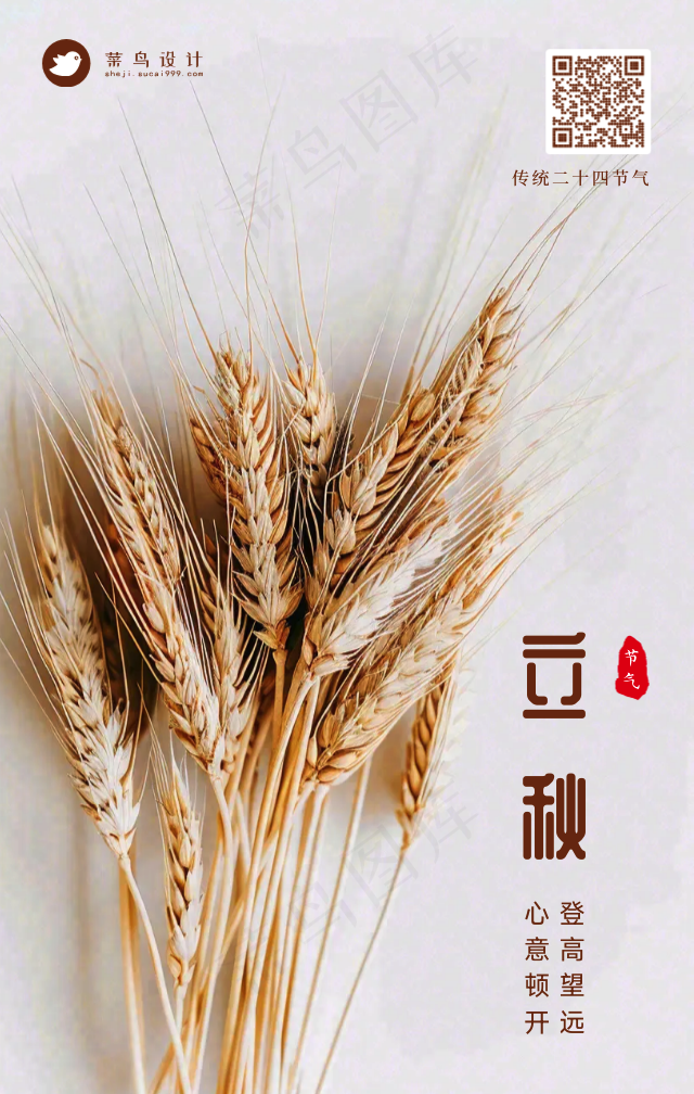 立秋手机海报
