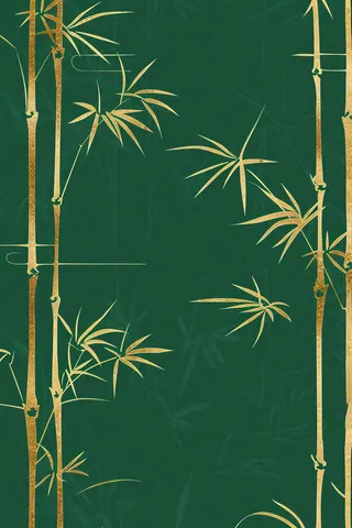 端午佳节竹子插画中国风绿色清雅静背景