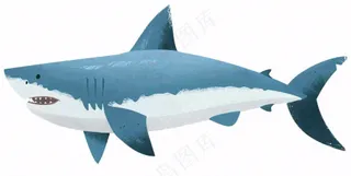 海洋鲨鱼动物卡通插画免抠