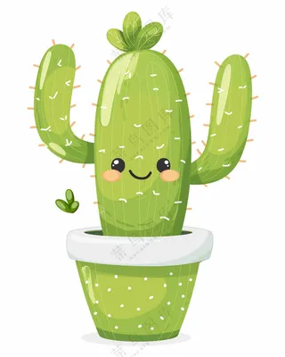 可爱仙人掌盆栽