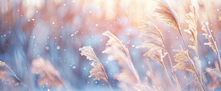 冬天下雪天的芦苇荡夕阳晚霞小雪大雪摄影图