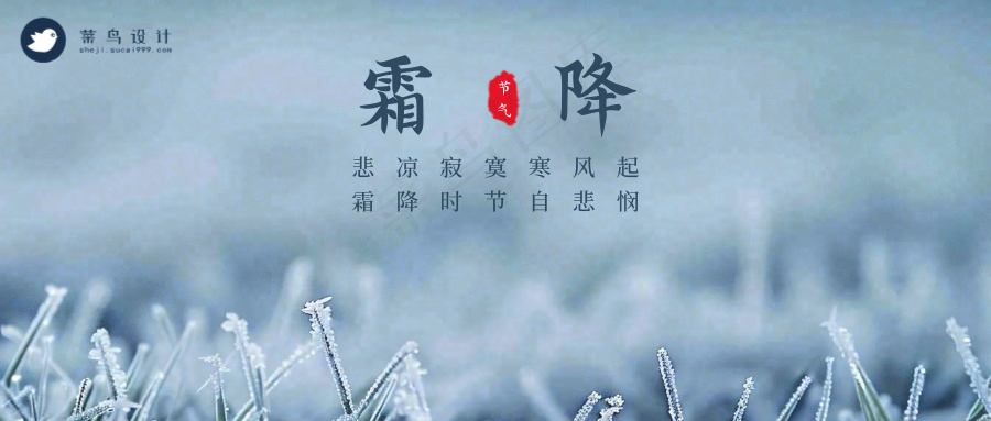 霜降公众号首图