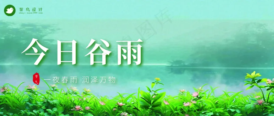 谷雨公众号首图