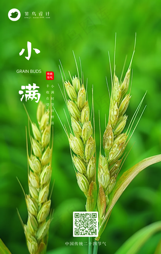 小满手机海报