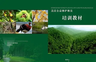 封皮封面林业封面