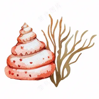 海洋贝壳海螺生物卡通插画免抠