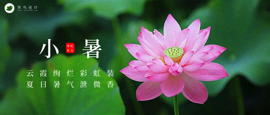 小暑公众号首图