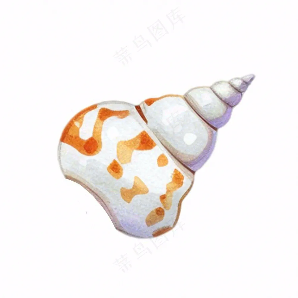 海洋贝壳海螺生物卡通插画免抠
