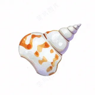 海洋贝壳海螺生物卡通插画免抠