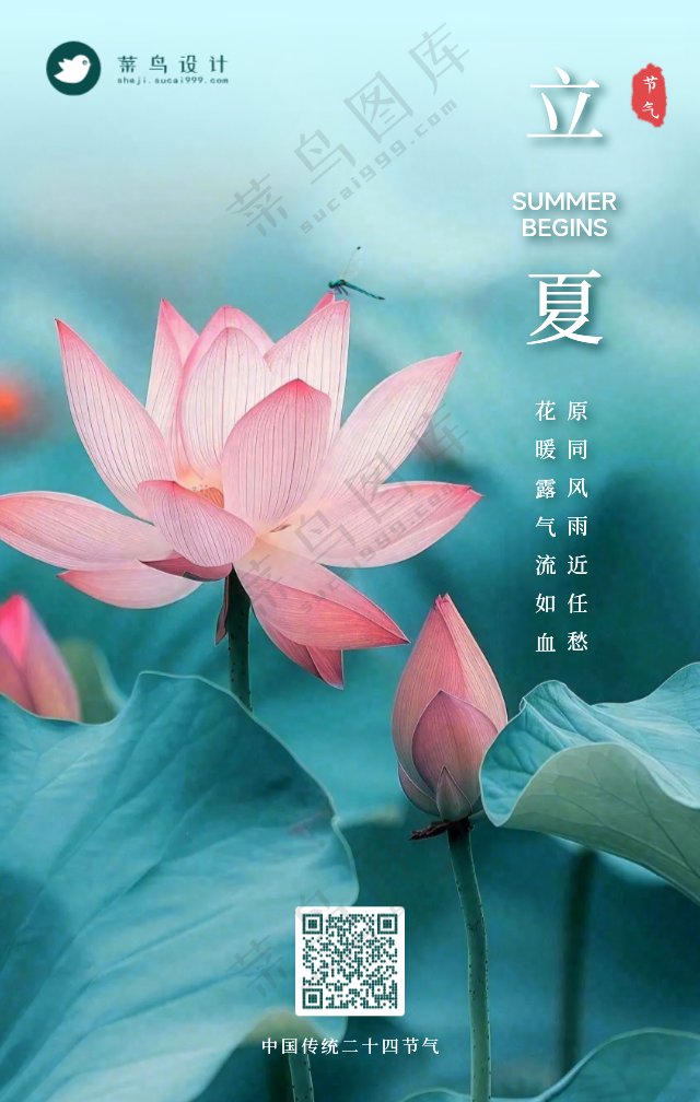 立夏手机海报