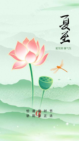 简约清新夏至节气海报