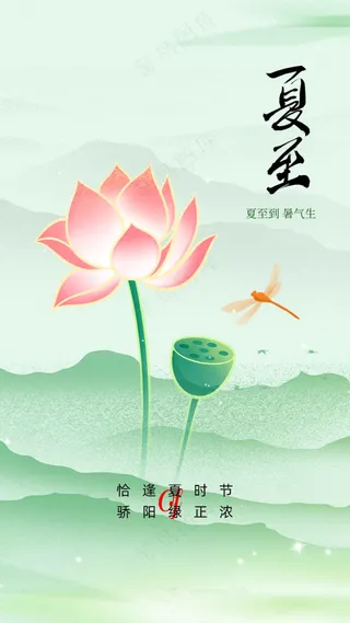 简约清新夏至节气海报