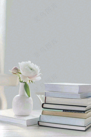 文静花瓶装饰书本阅读知识世界读书日摄影图
