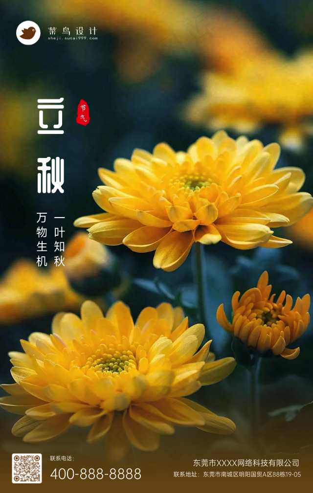立秋手机海报
