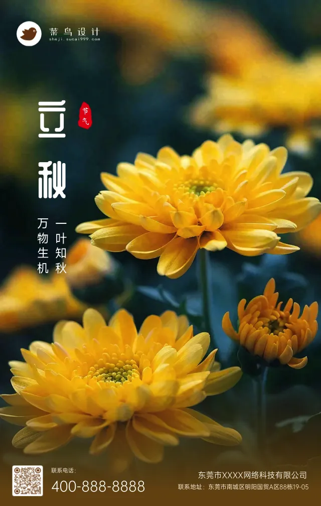 立秋手机海报