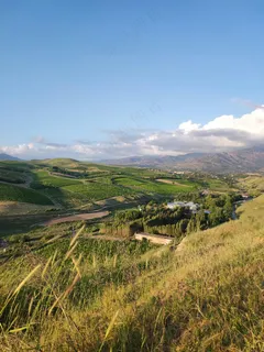 金色麦田中的宁静山谷 金色麦田中的宁静山谷