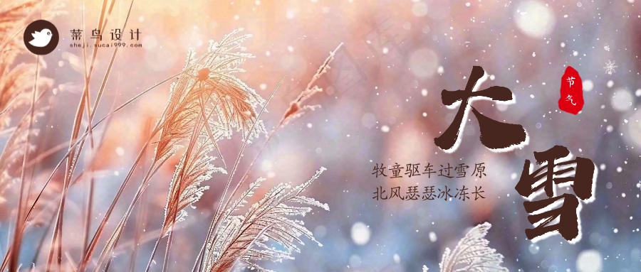 大雪公众号首图