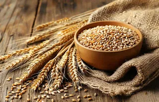 世界粮食日谷物米饭稻谷小麦摄影图