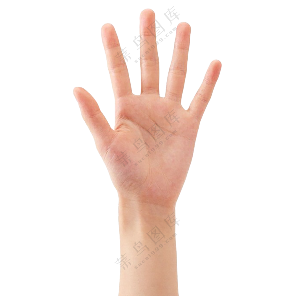 手掌免扣图片