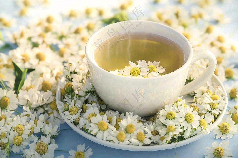 菊花茶白色茶具唯美雏菊下午茶摄影图