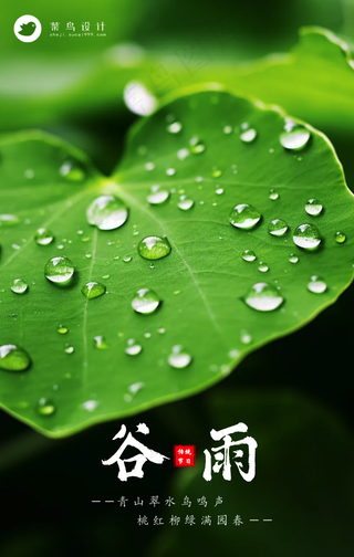谷雨手机海报
