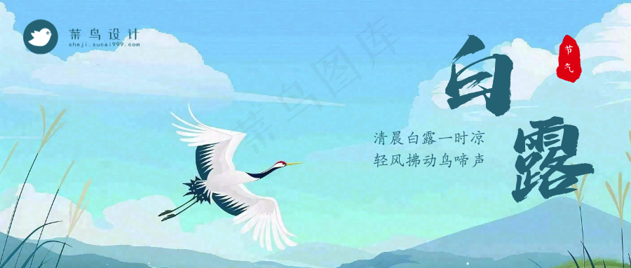 白露公众号首图