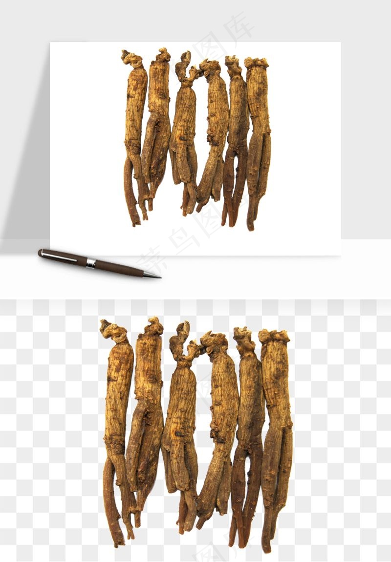 人参养生药材png免抠