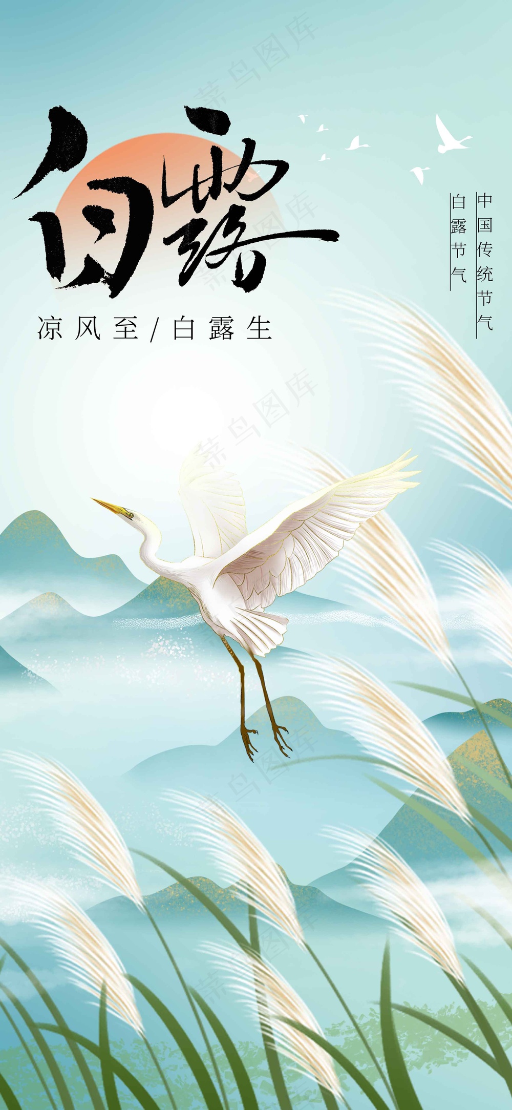 白露节气传统活动海报