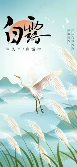 白露节气传统活动海报