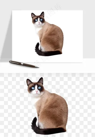 猫咪喵星人狗狗宠物元素png免抠