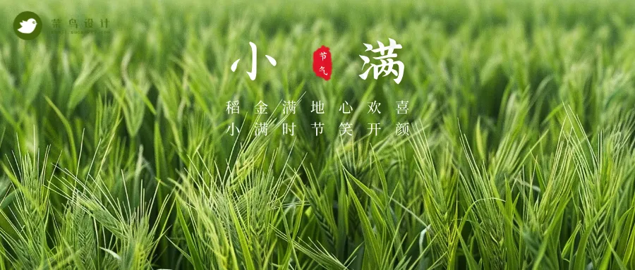小满公众号首图