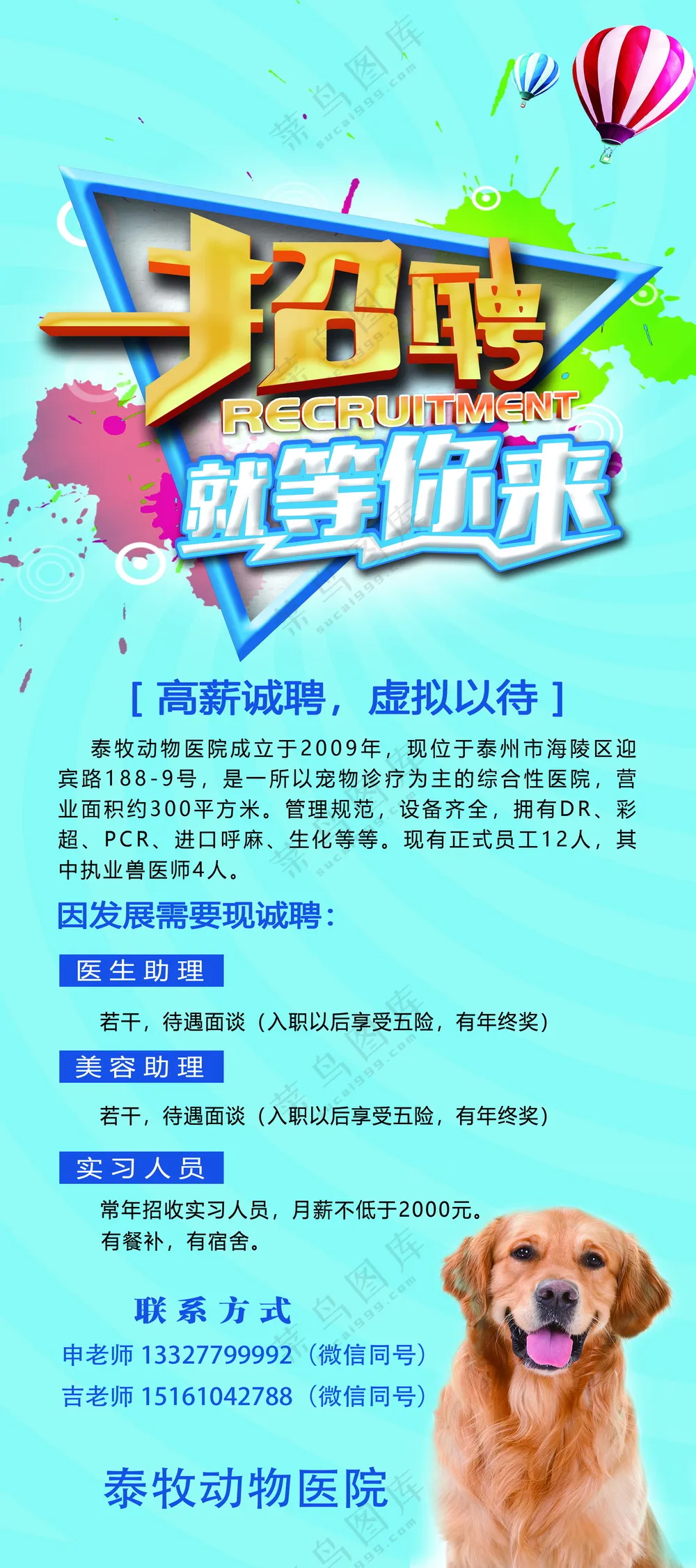 动物医院招聘展架