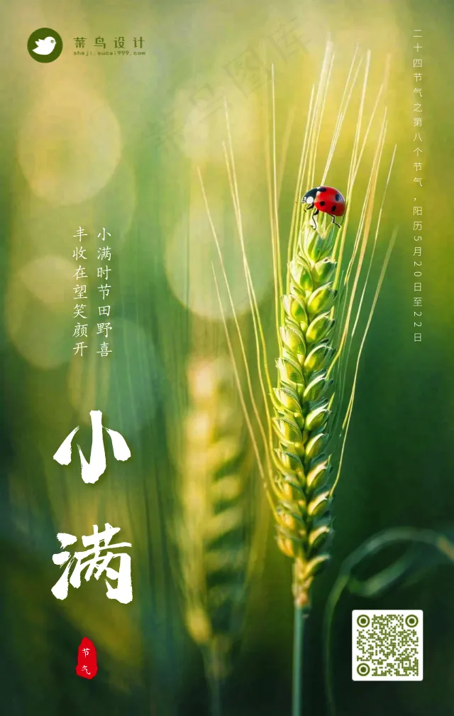 小满手机海报