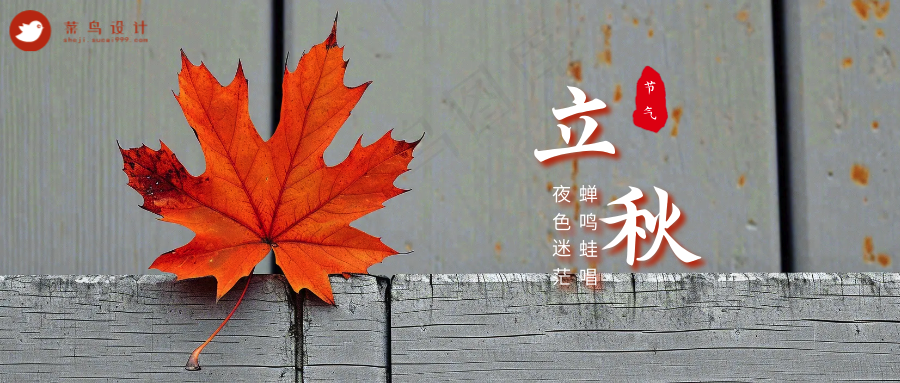 立秋公众号首图