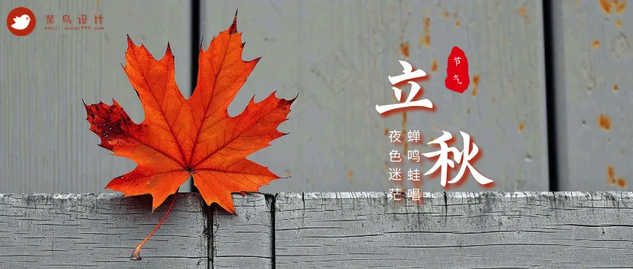 立秋公众号首图