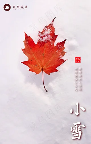 小雪手机海报