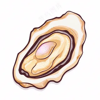 生蚝海鲜海洋卡通插画免抠