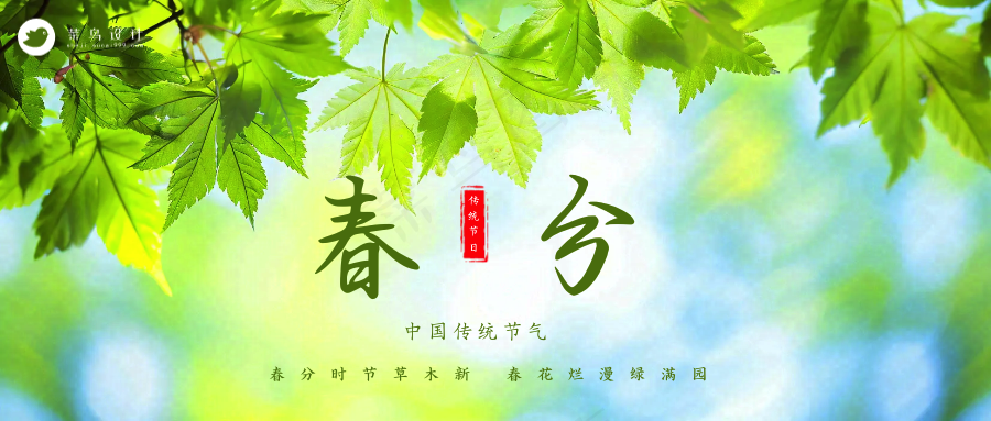 春分公众号首图