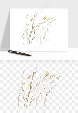 植物芦苇蒲苇香蒲png免抠