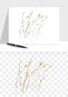 植物芦苇蒲苇香蒲png免抠 植物芦苇蒲苇香蒲png免抠