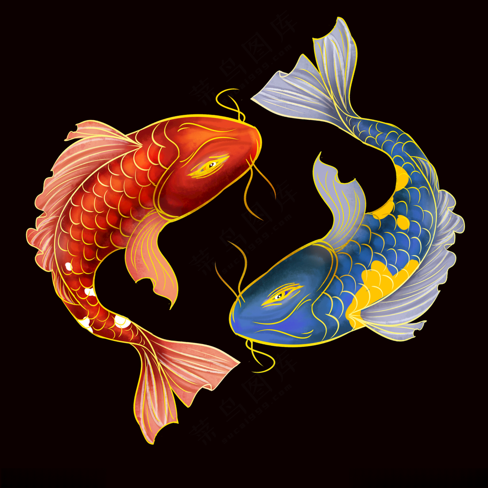 金鱼鱼类广告设计