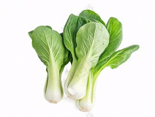 上海青蔬菜免抠