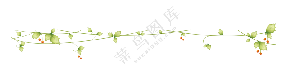 挂着红色果子的藤蔓装饰分割线图片