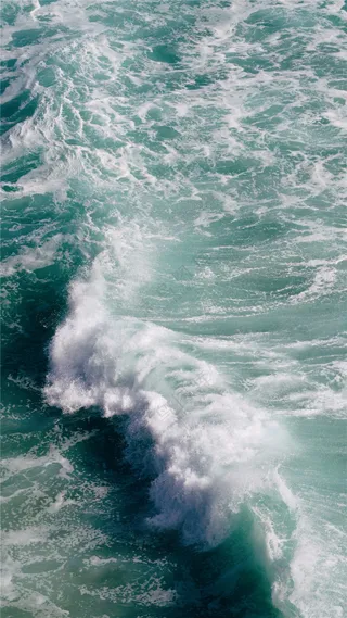 潮水微距摄影图片