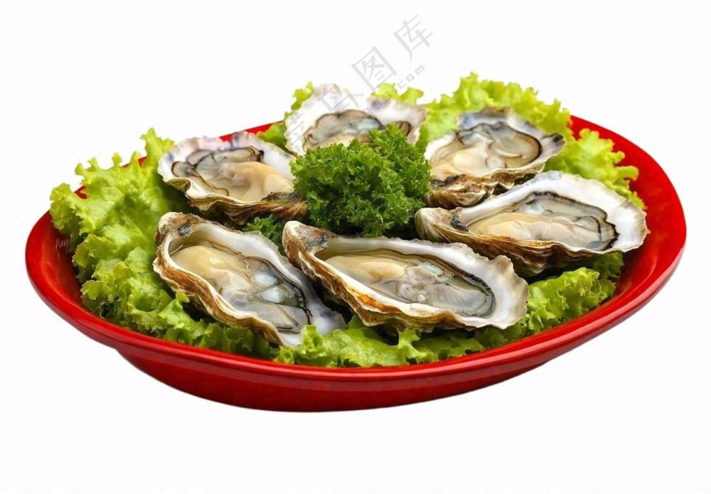 时蔬生蚝海鲜摄影图免抠
